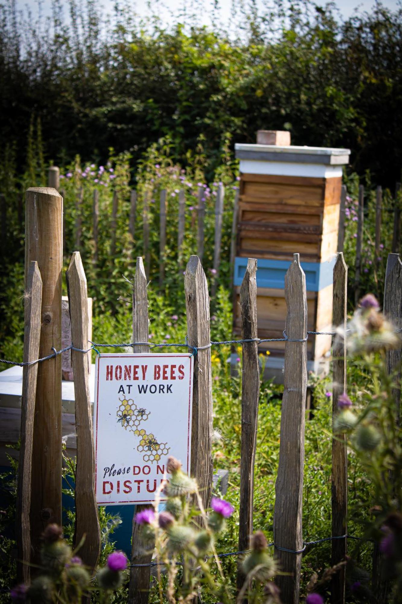 Home Farm & Lodge Боутрі Екстер'єр фото